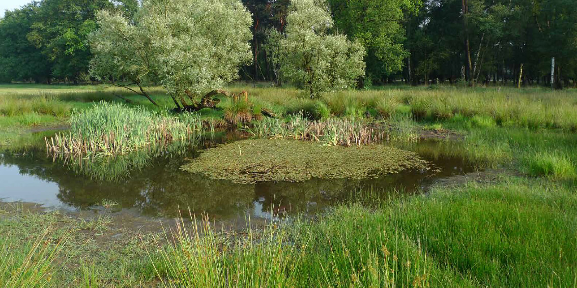 Het boetelerveld Raalte