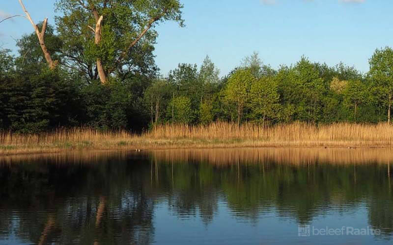 Afbeelding van Boetelerveld