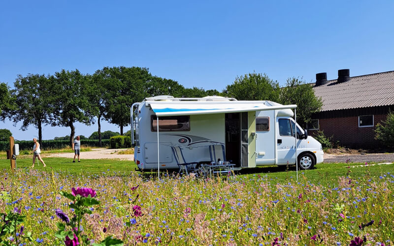 Afbeelding van Camperplaats T ‘ Haarlerveld